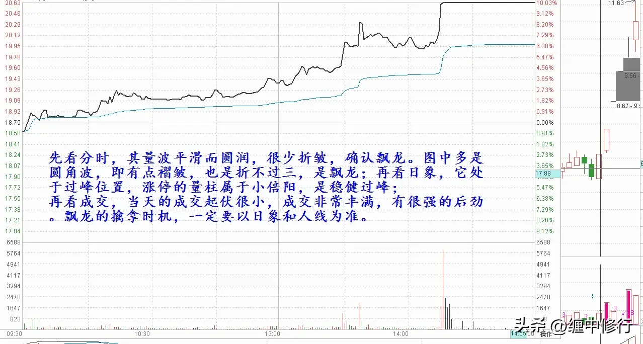 飘龙分时图谱与要点