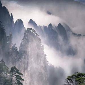 股市规则不应隔三差五的改动