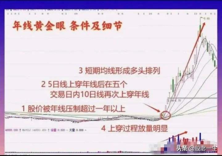 年线黄金眼