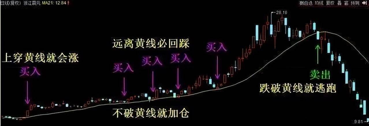 一位上海女博士直言如果手中有十几万建议死啃这两条线！经典