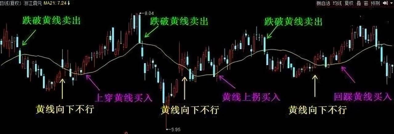 一位上海女博士直言如果手中有十几万建议死啃这两条线！经典