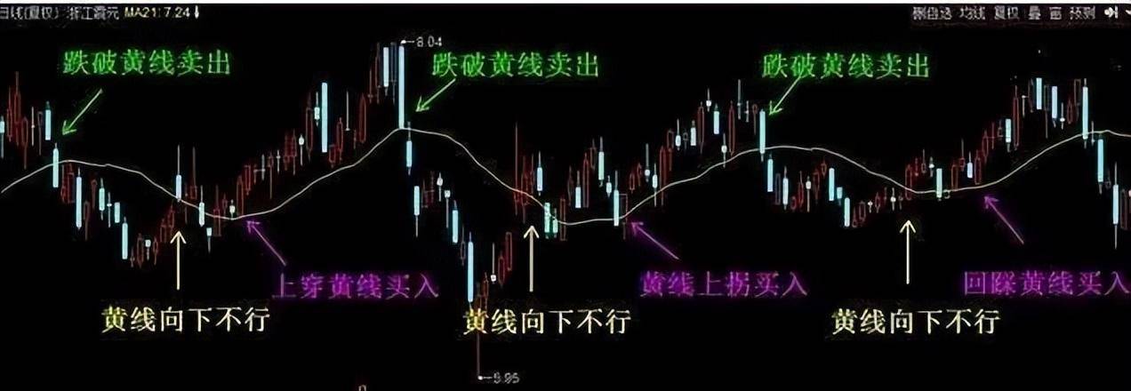 一位上海女博士直言如果手中有十几万建议死啃这两条线！经典