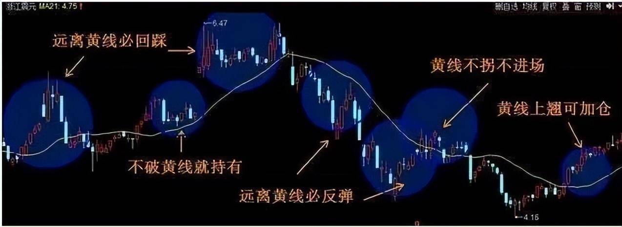 一位上海女博士直言如果手中有十几万建议死啃这两条线！经典