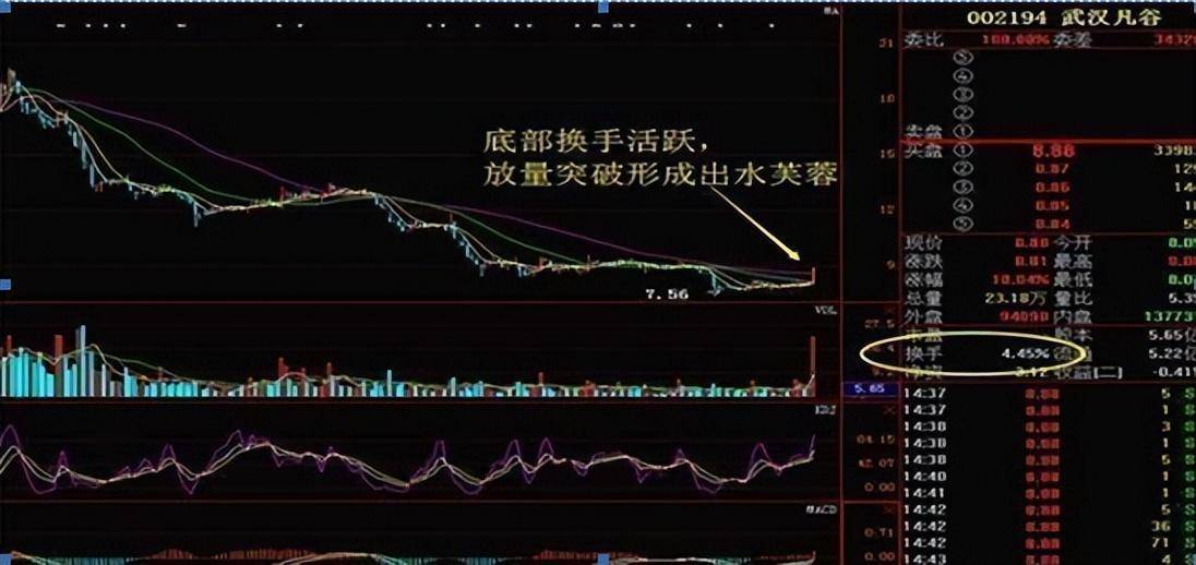 换手率是A股唯一不骗人的指标一旦大于15就是主力叫你进场