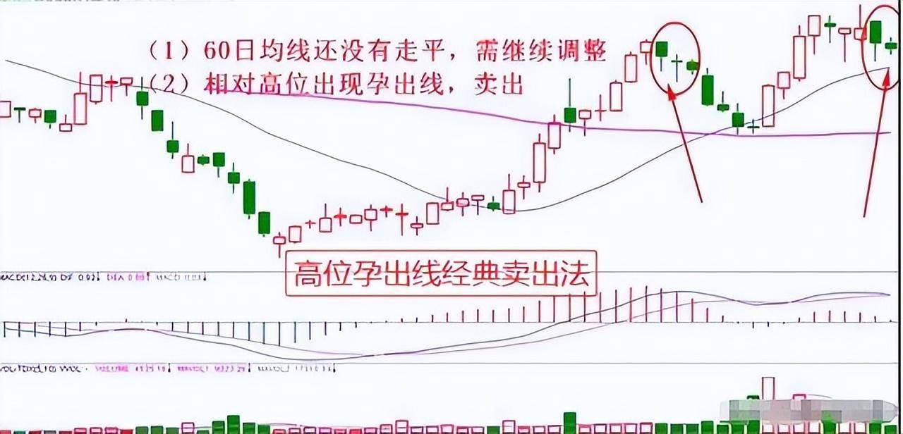 炒股奇才悟出的选股铁律一根巨阳上影长收盘一到抢入忙！