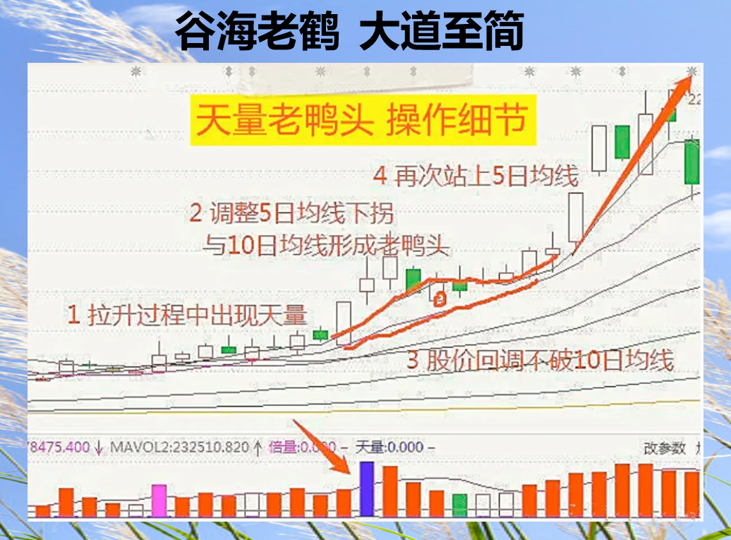 谷海老鹤，大道至简