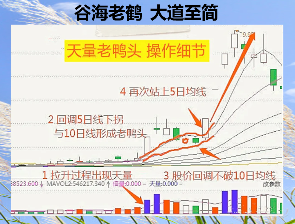 谷海老鹤，大道至简