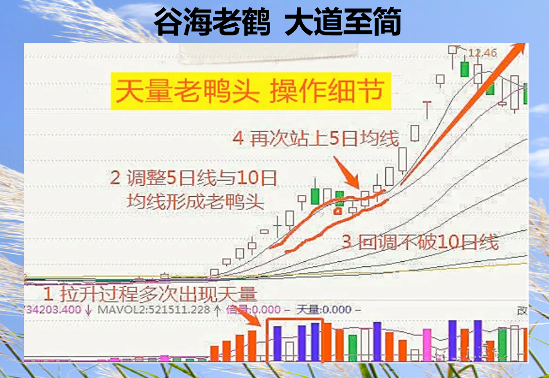 谷海老鹤，大道至简