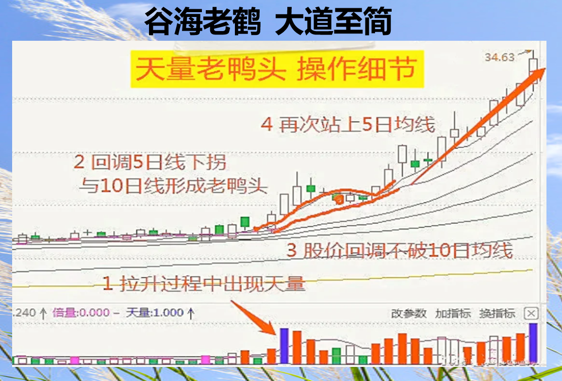 谷海老鹤，大道至简