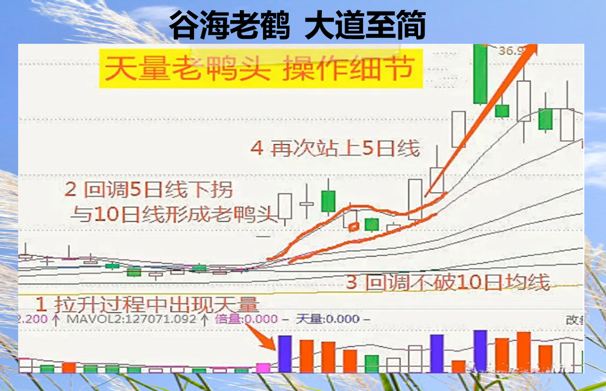 谷海老鹤，大道至简