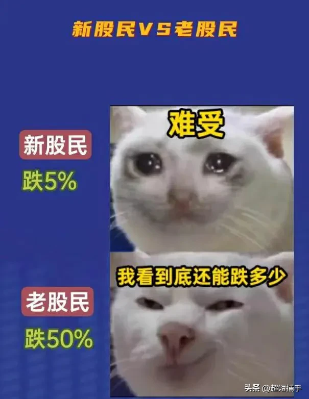 从前的车马很远,书信很慢,一生只够爱一个人一年只炒一只股