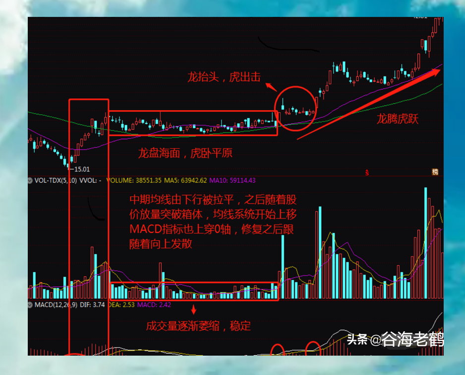 蛟龙出海形态