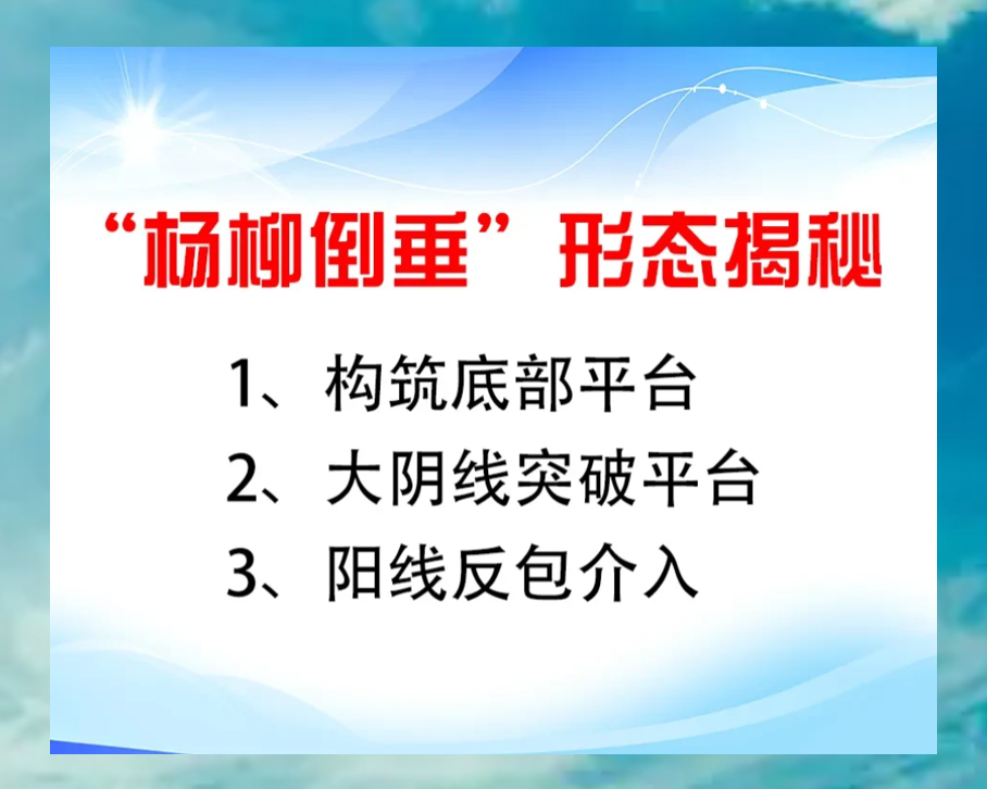 “杨柳倒垂”形态