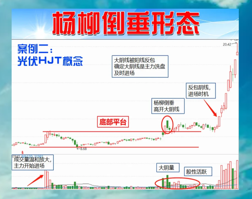 “杨柳倒垂”形态