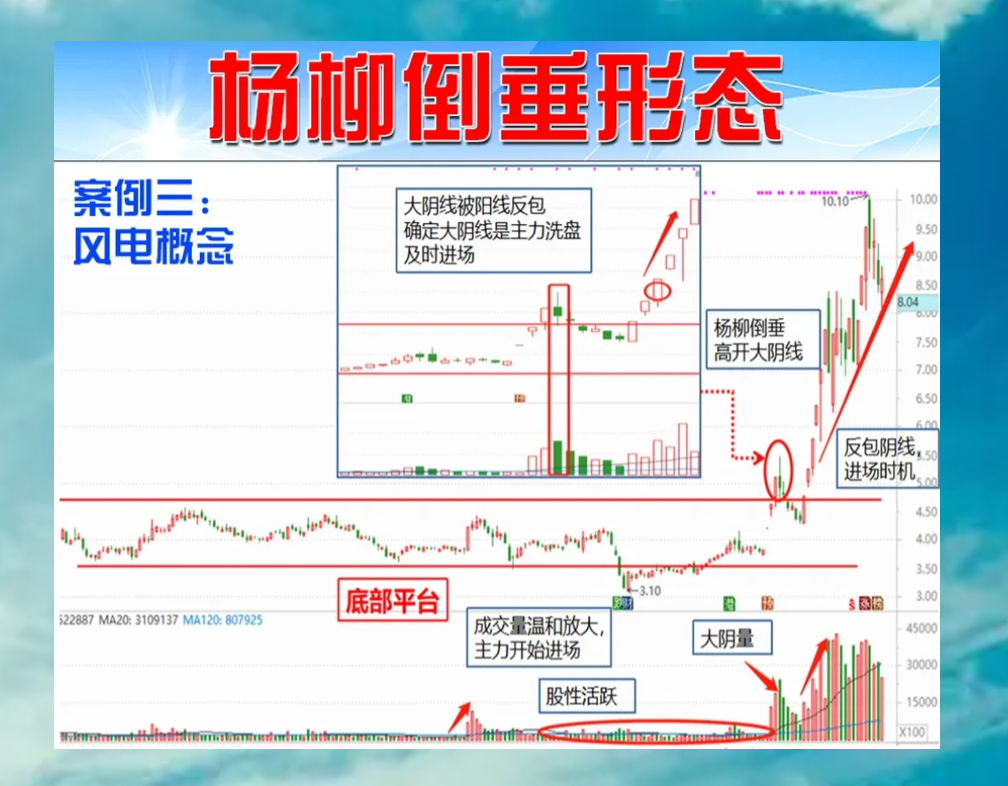 “杨柳倒垂”形态