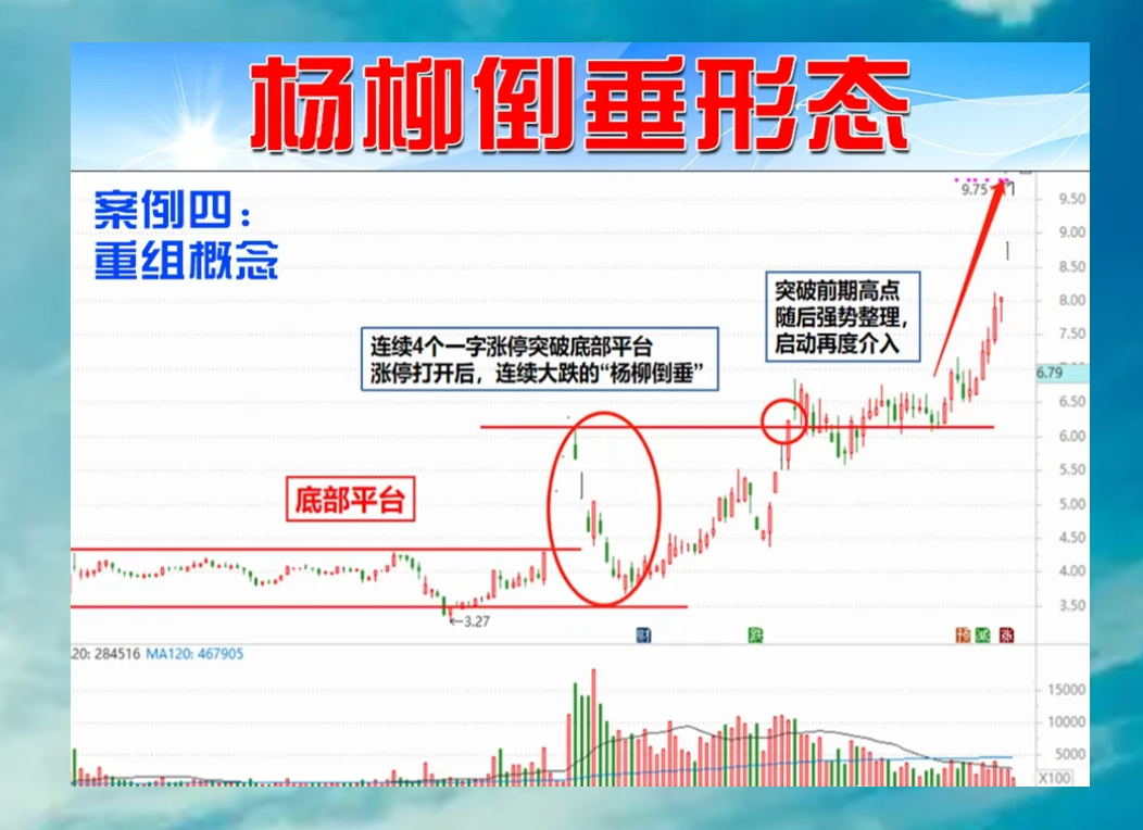 “杨柳倒垂”形态