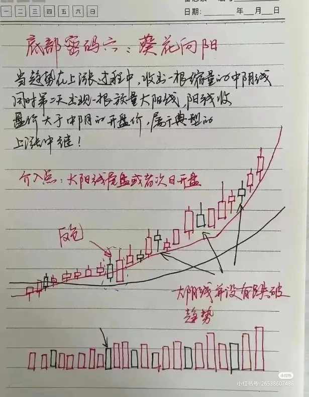 炒股点滴分享