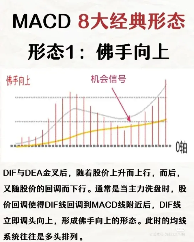 牛G操盘