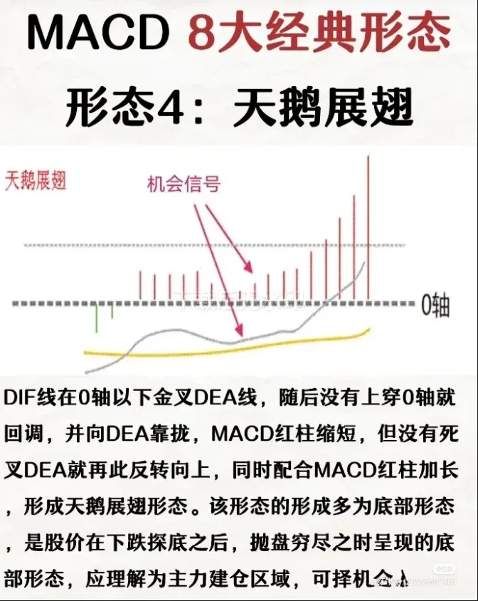 牛G操盘