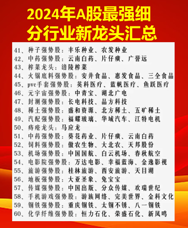 2024年细分行业龙头