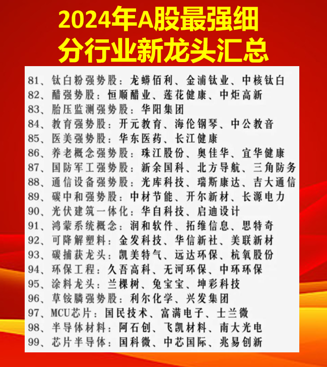 2024年细分行业龙头