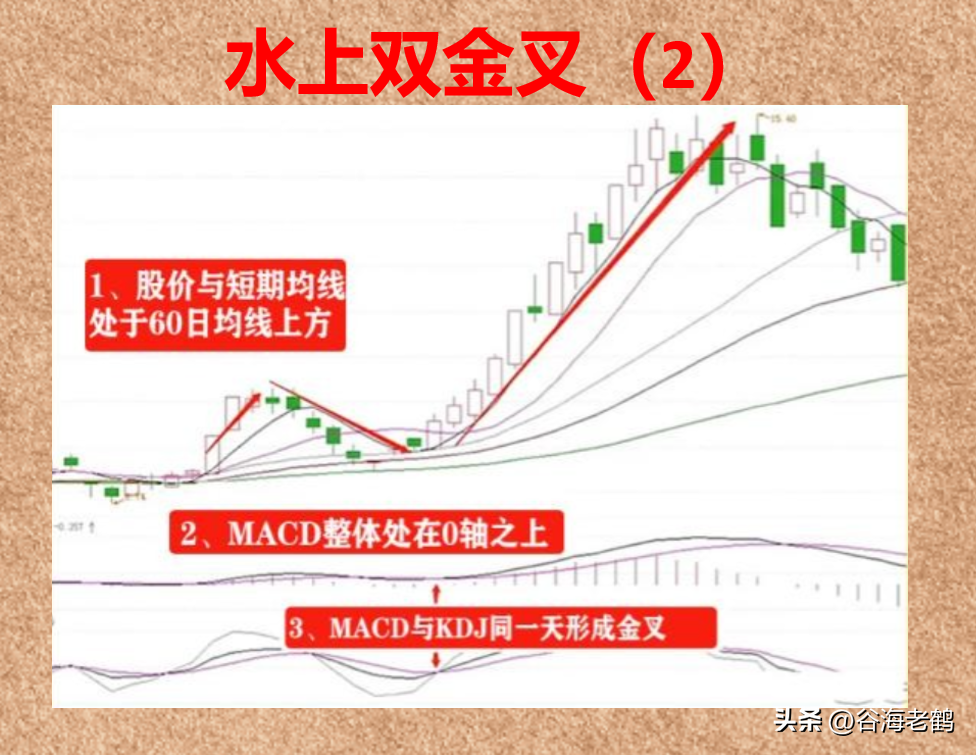 水上双金叉