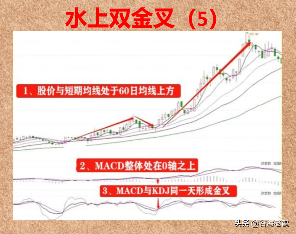 水上双金叉