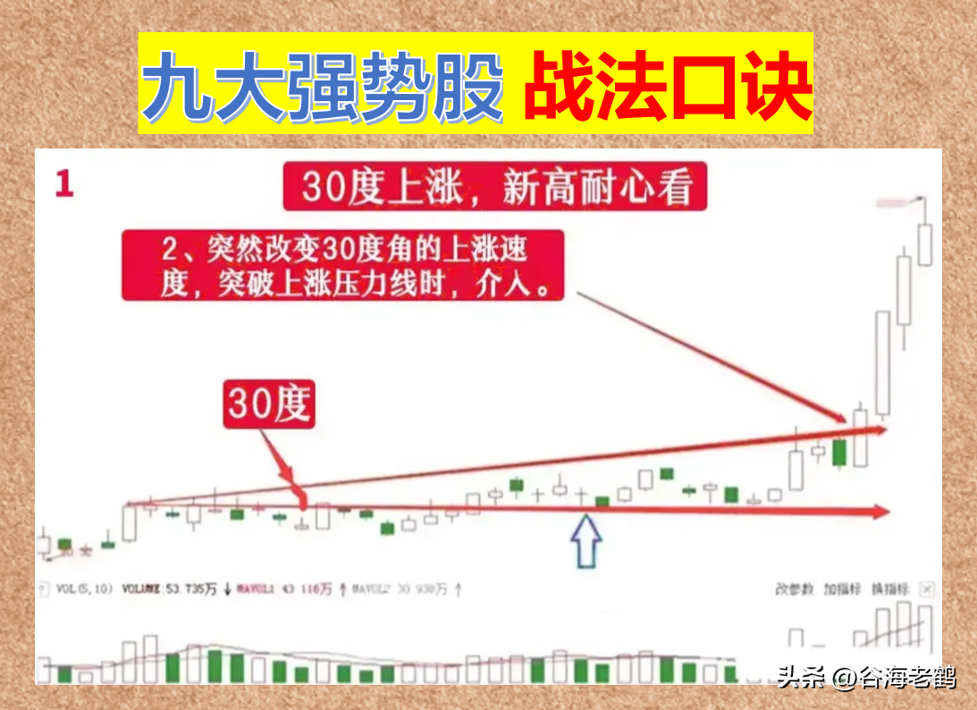 炒股不炒强势股，不如回家卖红薯