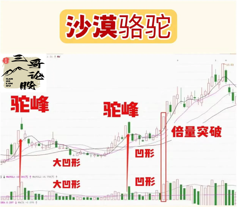 沙漠骆驼