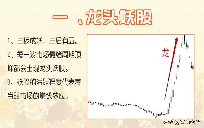 我龙头打板