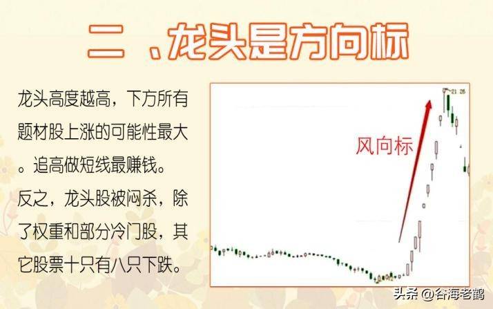 我龙头打板
