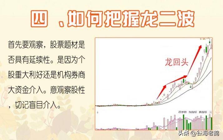 我龙头打板
