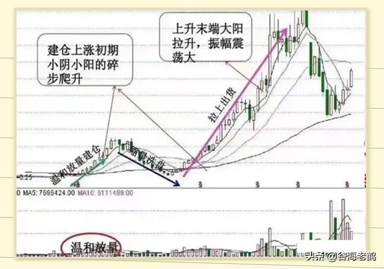 炒股思路