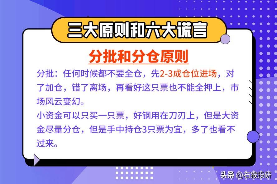 行业龙头
