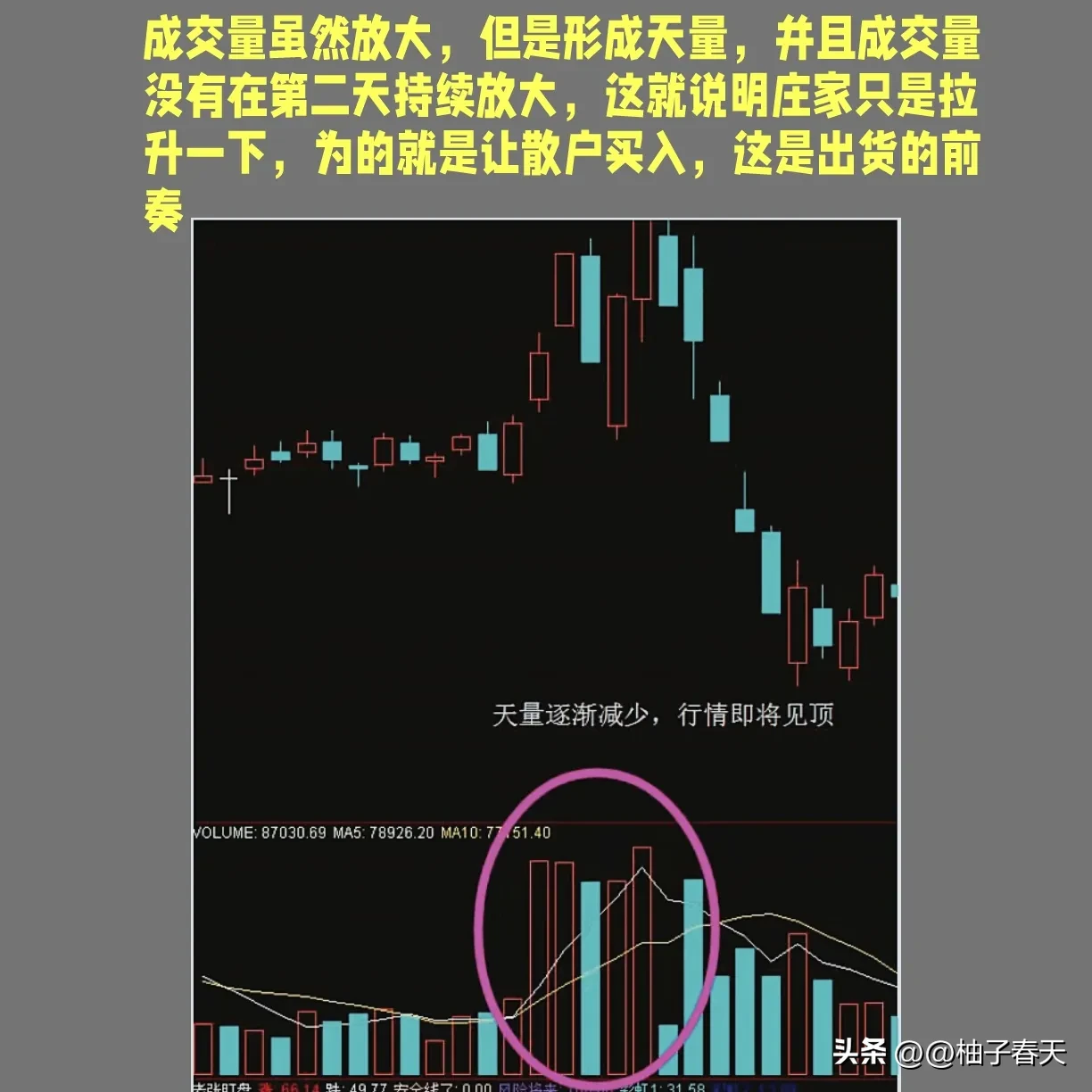 股市洞察分享