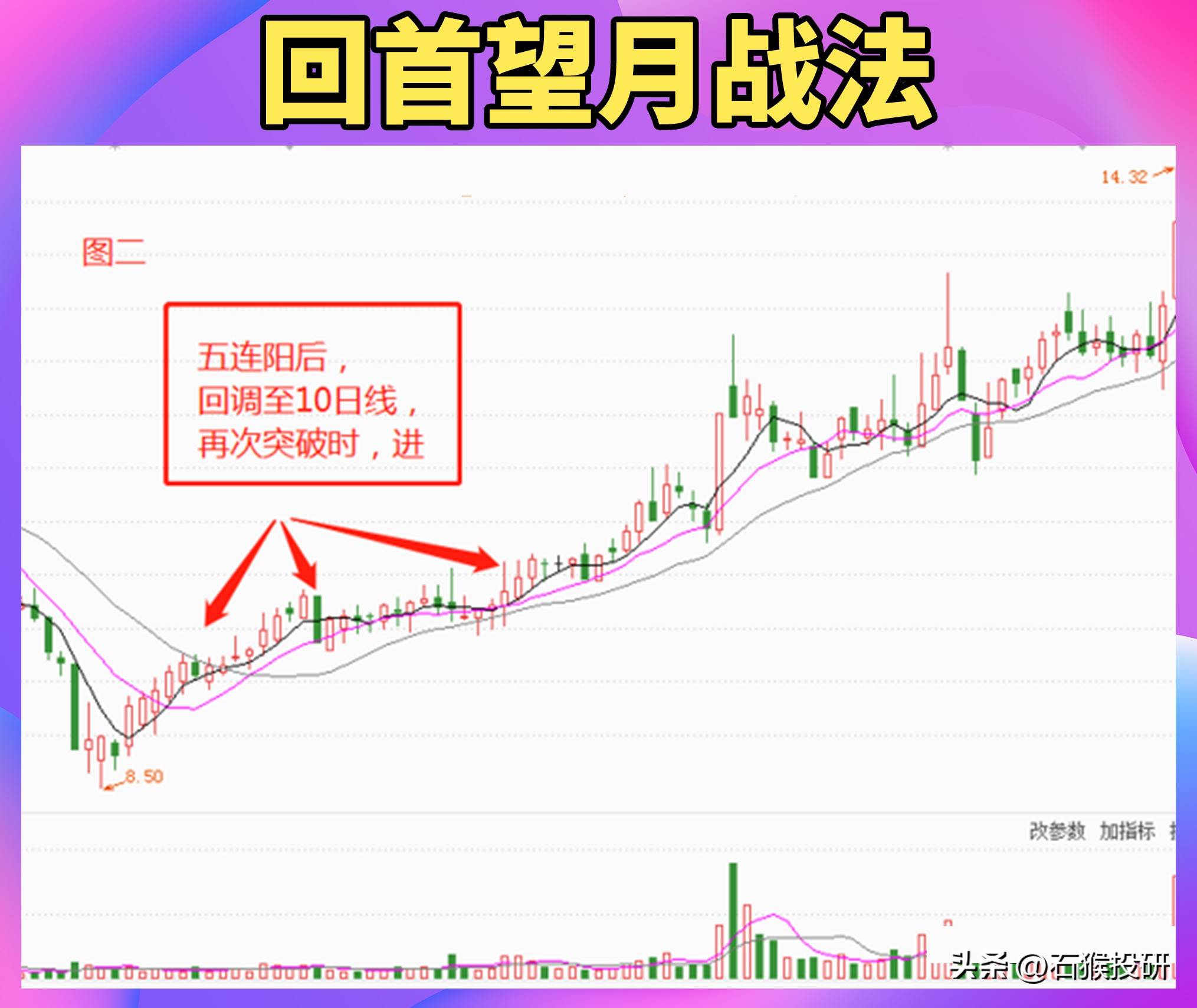 回首望月结构