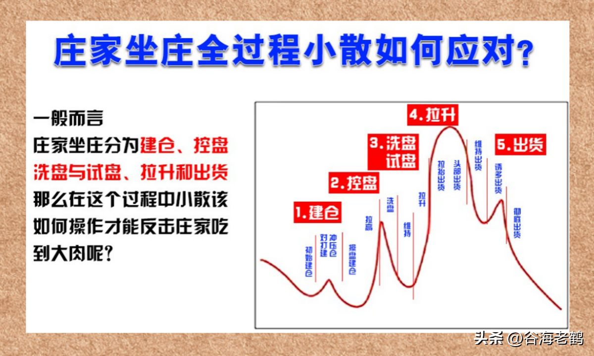 与庄共舞
