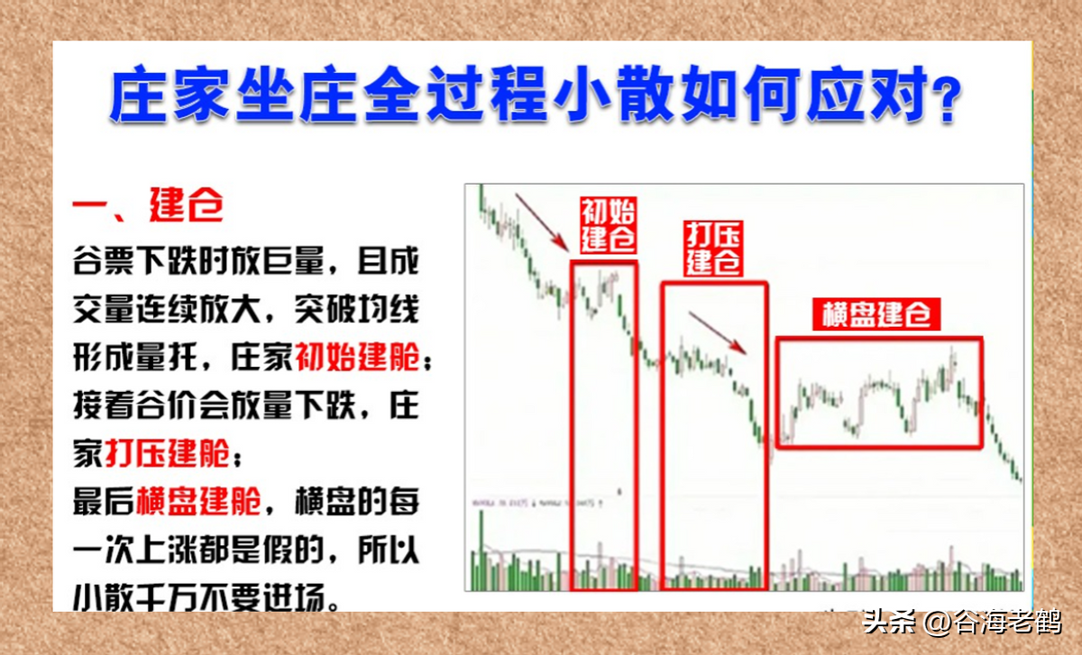 与庄共舞