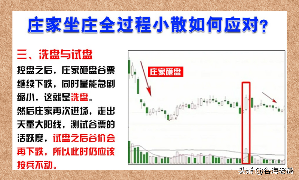 与庄共舞