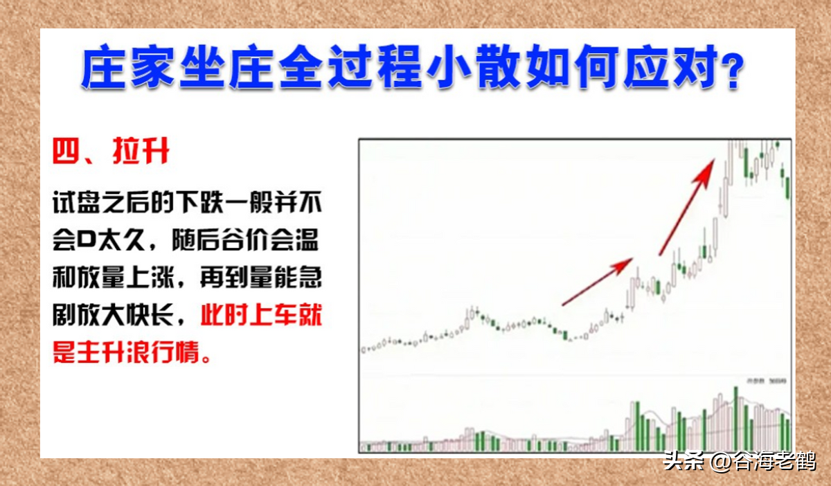 与庄共舞