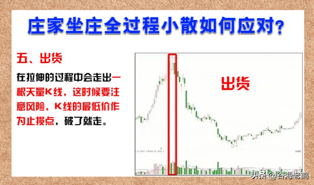 与庄共舞