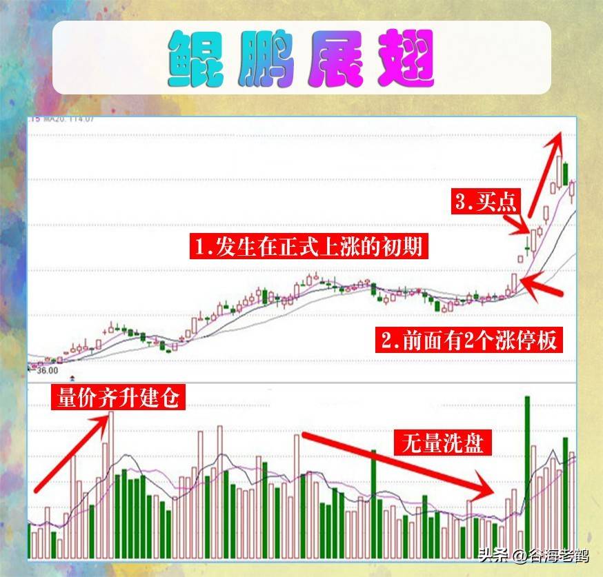 鲲鹏展翅形态