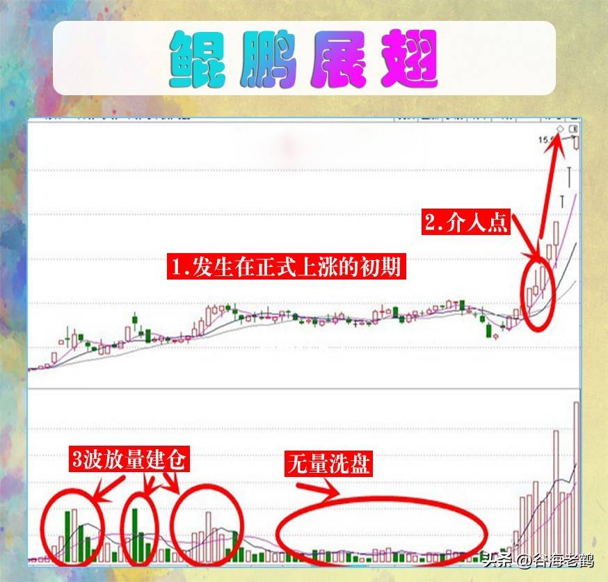 鲲鹏展翅形态