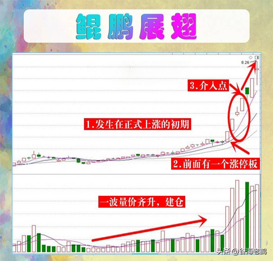 鲲鹏展翅形态