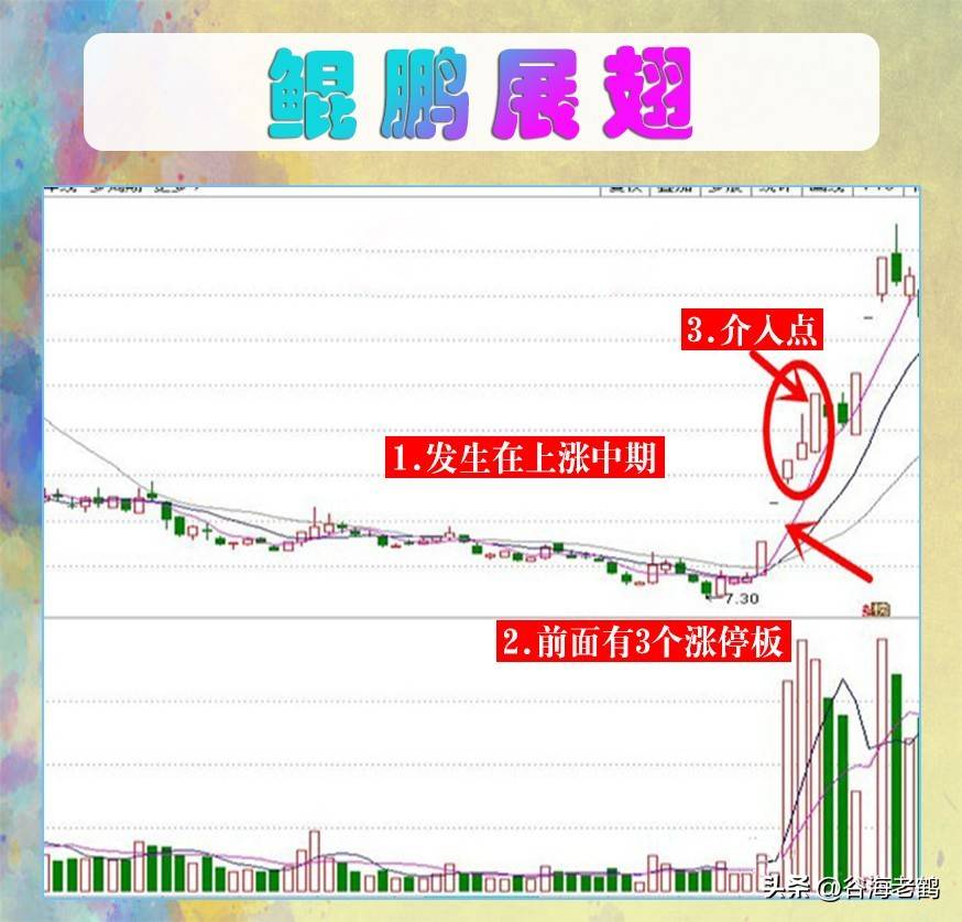 鲲鹏展翅形态