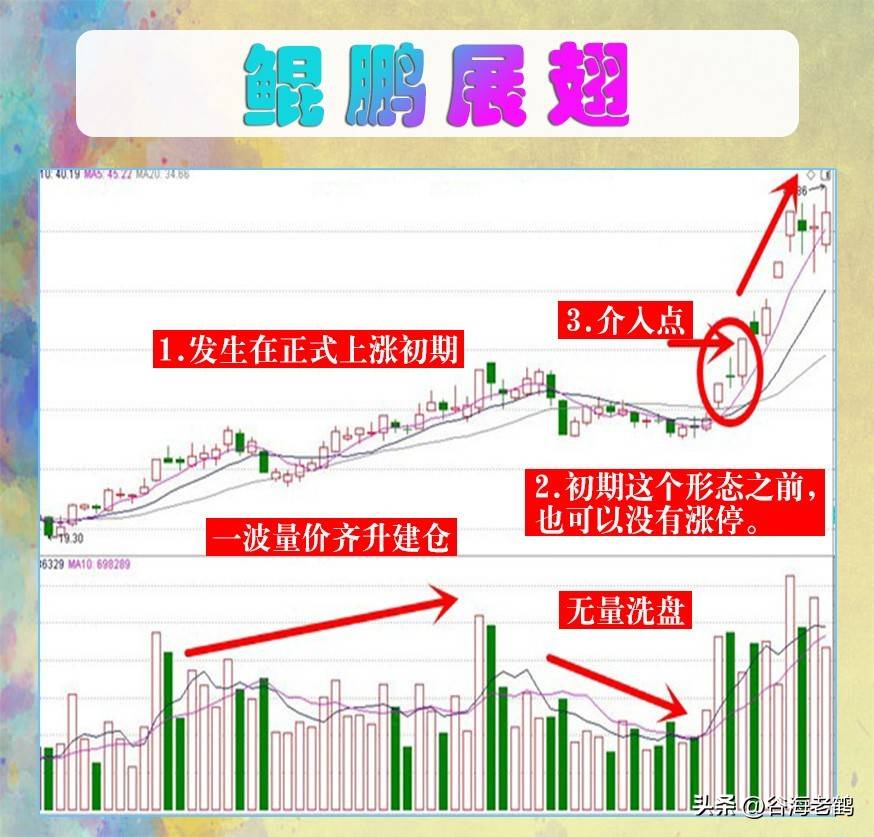 鲲鹏展翅形态