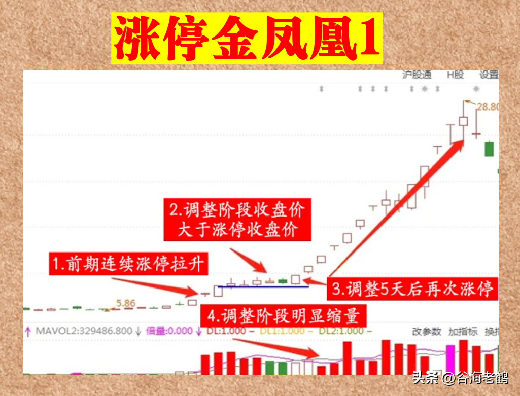 涨停金凤凰