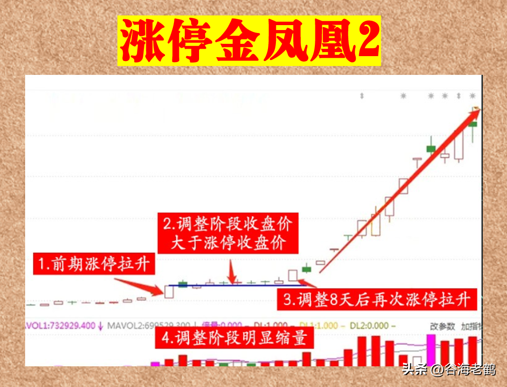 涨停金凤凰