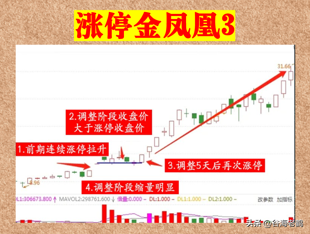 涨停金凤凰