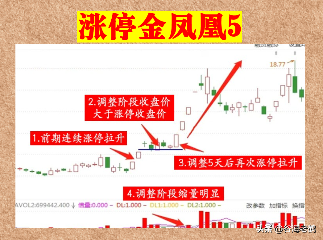 涨停金凤凰